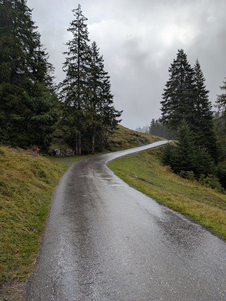 Sentier qui monte au lac oeschinen